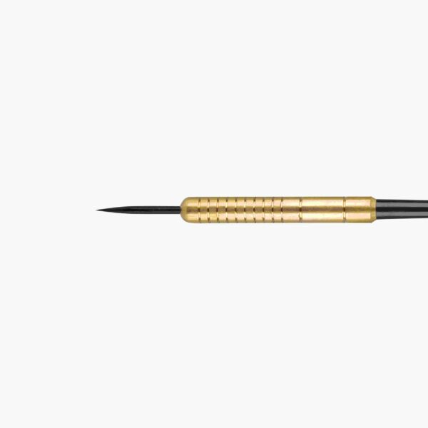 WMG08665- phoenix brass dart 23g - nylon shaft - professional dart supplier in China.jpg (9)