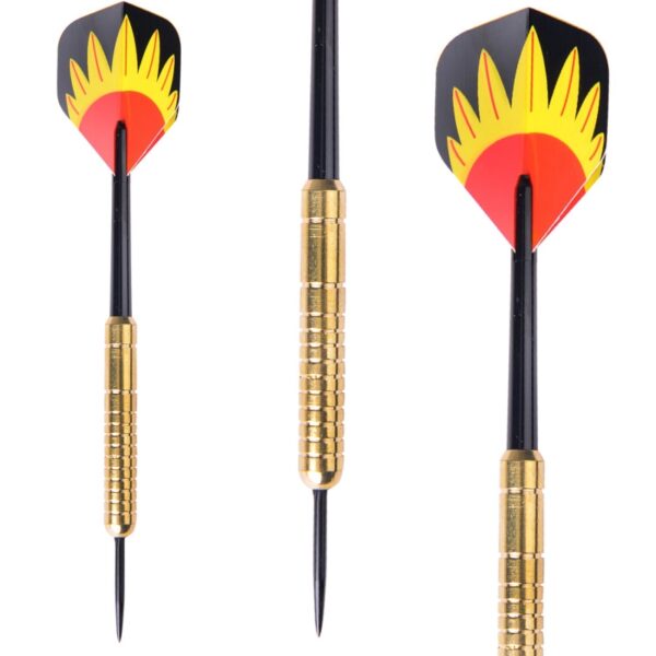 WMG11511- phoenix brass dart 21g - how to choose professional dart - WIN.MAX dart for competition (2)
